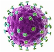 Kas yra žmogaus papilomos viruso infekcija